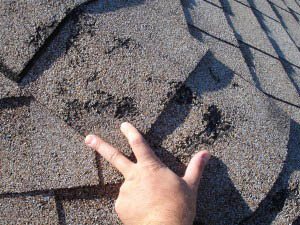 hail storm damage